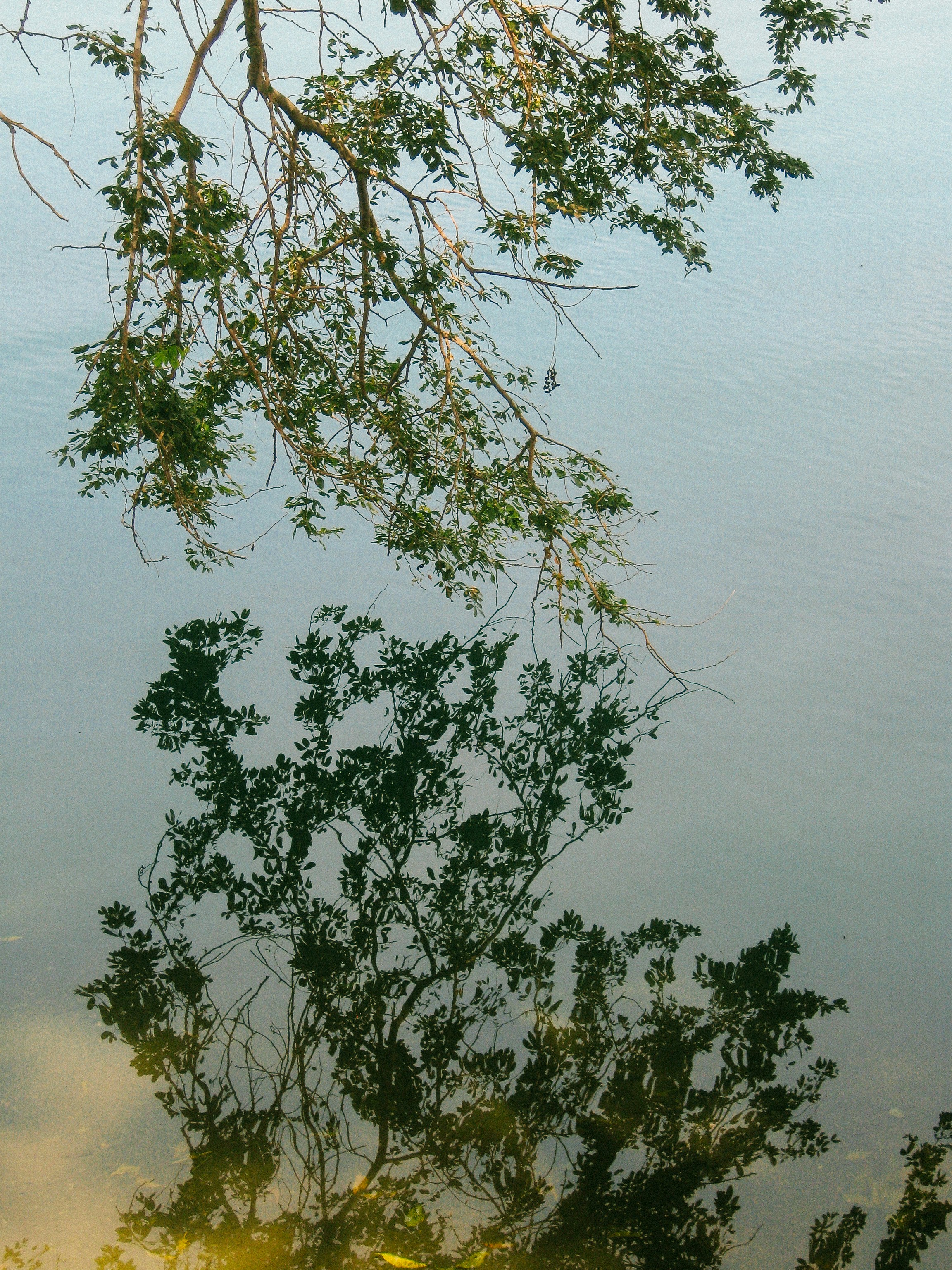 Affirmations for Anxiety: A Grounded Approach