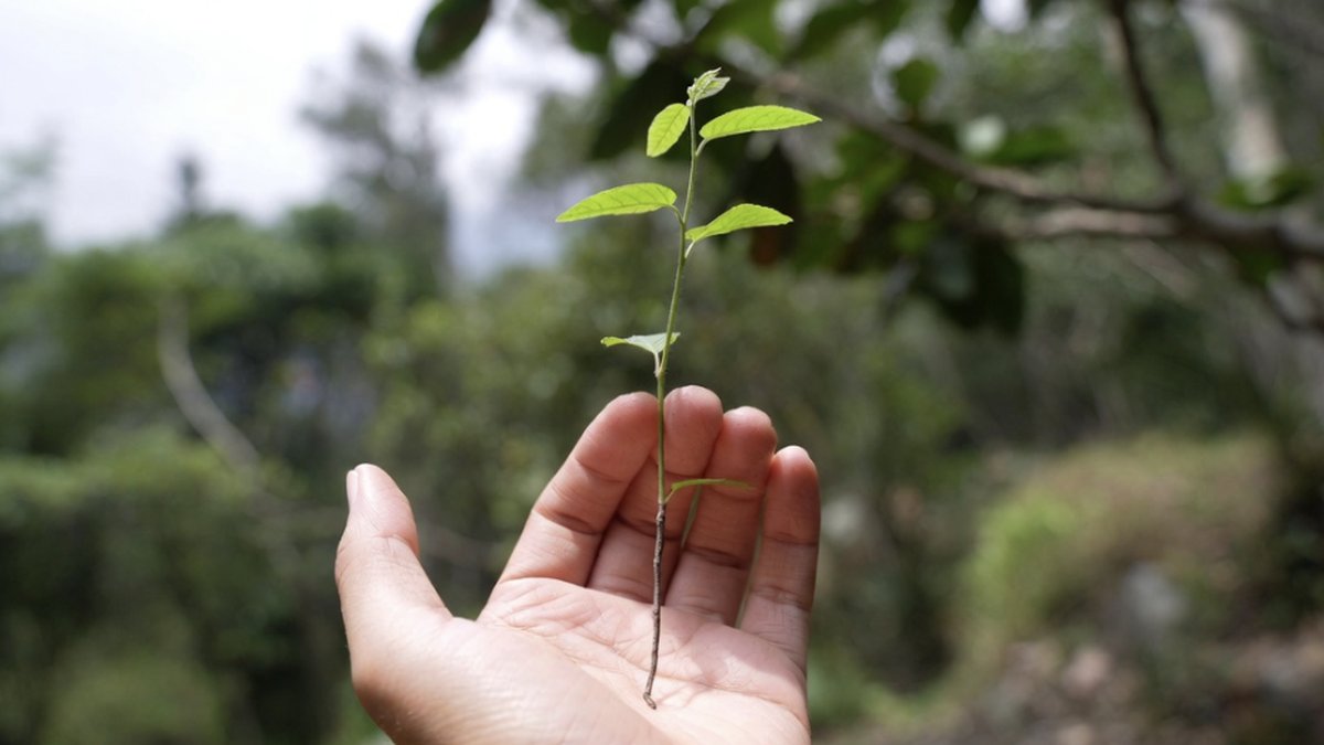 Manifestation Examples (Practical, Not Magical)